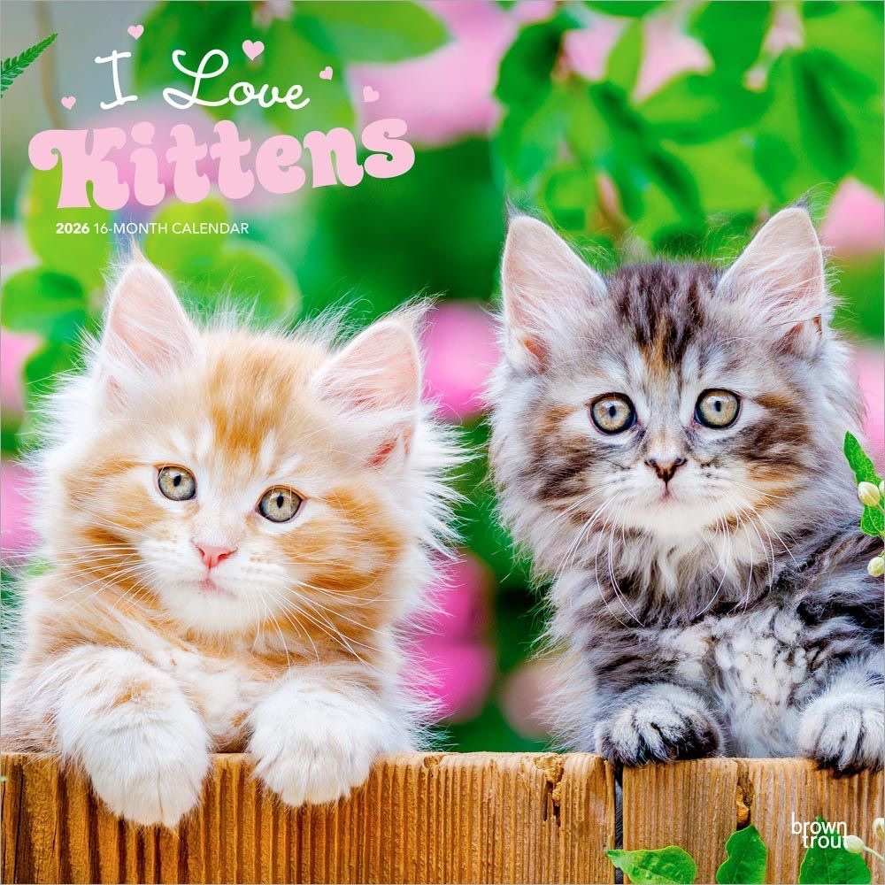 2026 kittens calendar